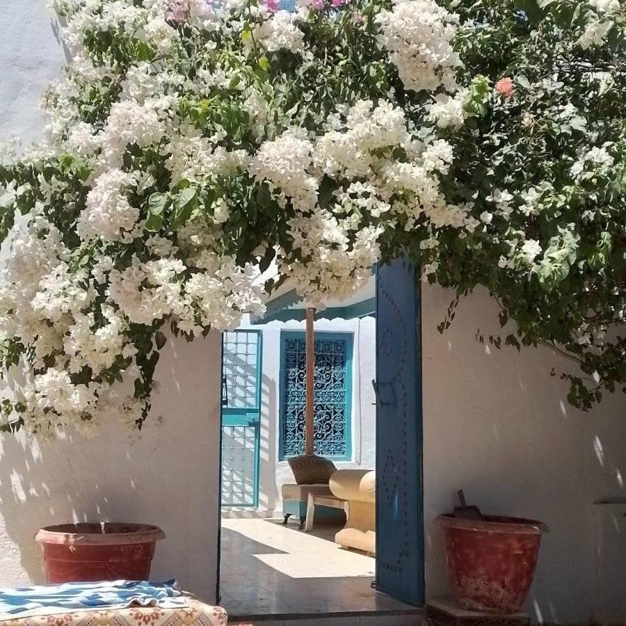 Vila Djerbahouch Midoun Exteriér fotografie